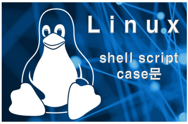 [shell script] 쉘 스크립트 기초 #7 - 제어문 case문 설명 및 예제