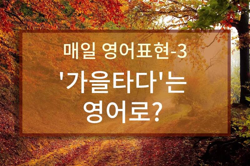 ‘가을타다’는 영어로?