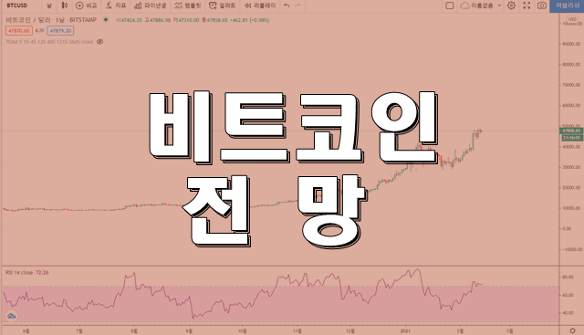 비트코인 시세와 전망 다른 관점은?