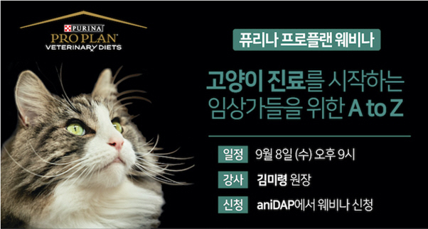 네슬레 퓨리나, 고양이 진료 시작하는 이들을 위한 프로플랜 웨비나 개최