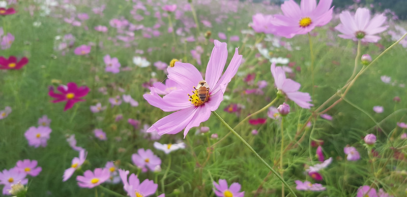 [생활정보] 여름철 에어컨 전기세 아끼는 방법/꿀팁 (절약방법 무려 8가지)