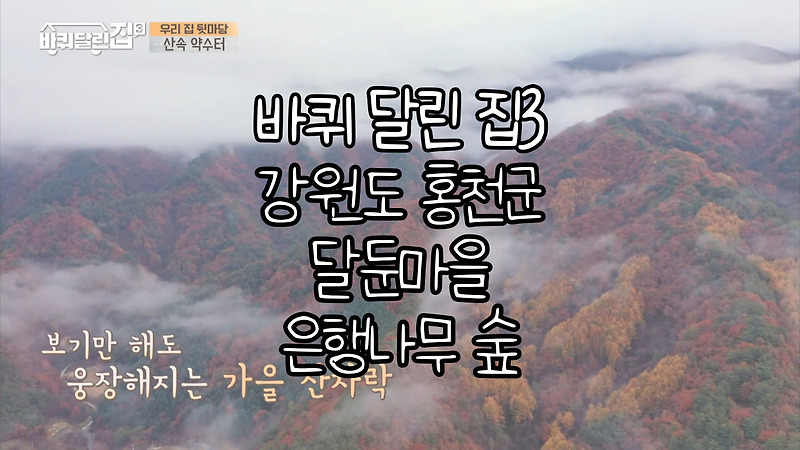 tvN <바퀴달린 집3> 9회 강원도 홍천 