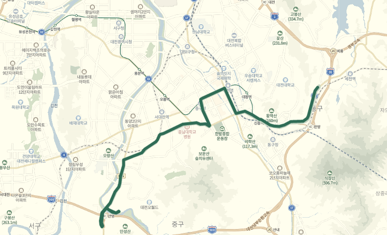 [지선] 대전 313번  버스 시간표,  노선 정보 : 신흥역, 대전역, 충대병원, 뿌리공원