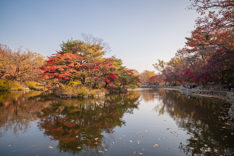 서울 고궁 산책 - 창경궁의 가을 단풍