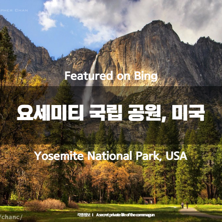 Featured on Bing - 요세미티 국립 공원, 미국 Yosemite National Park, USA