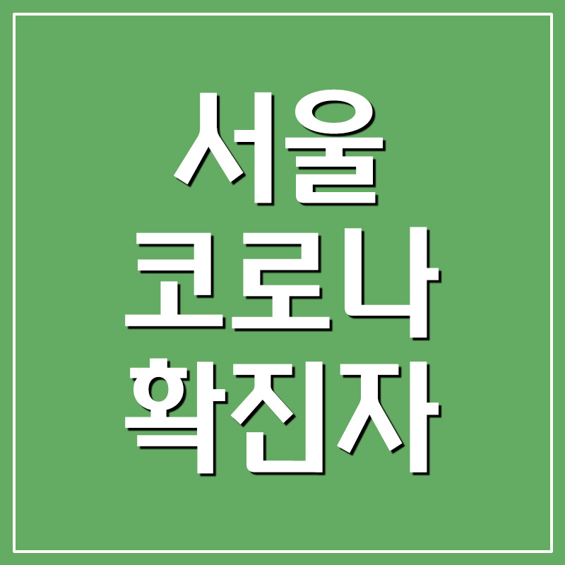 서울 코로나 확진자 현황 및 동선