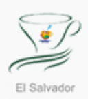 2019 El Salvador C.O.E Auction Samples 공개커핑후기 (In 커피몽타주 더 스태디움)