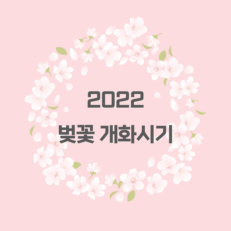2022 벚꽃 개화 시기 및 벚꽃 축제 일정