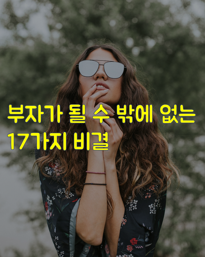 부자가 될 수 밖에 없는 17가지 비결