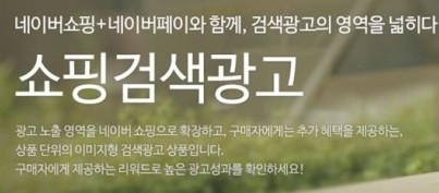 네이버 '쇼핑검색광고' 50% 확대…코로나 딛고 수익 극대화중...