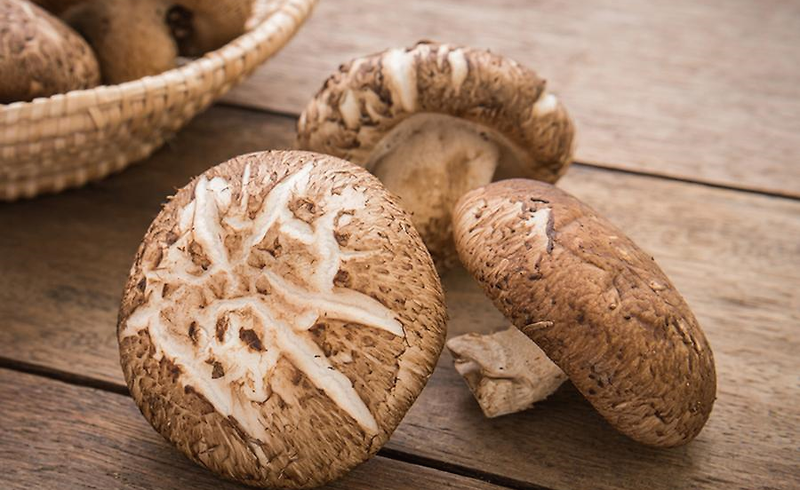 [식품정보](말린)표고버섯의 효능과 효과 그리고 영양성분 모든것을 알아보자!