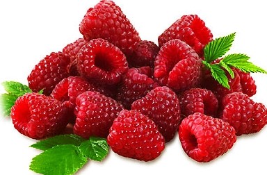 라즈베리(Raspberry) _ 나무 딸기