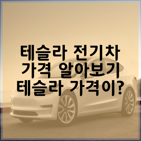 테슬라 모델3 전기차 가격 - 모델S, 모델75D, 모델100D, 모델P100D