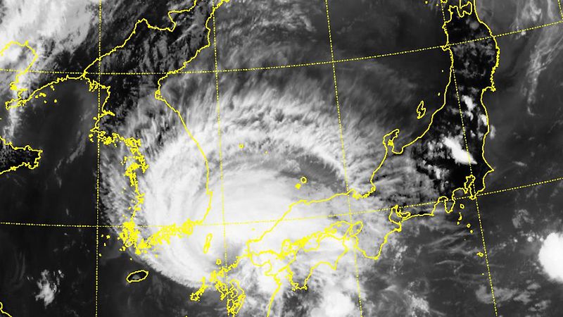 [기상뉴스] 제 8호태풍 프란시스코 대마도 근접, 오늘 밤 거제, 부산 상륙 예정