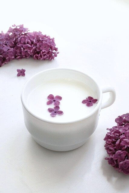 [우유] 영양성분 / 효능 - 부작용 / 저지방우유-마늘 꿀 우유 효능
