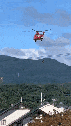 일본 70대 여성 헬기구조중 추락사