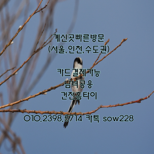 인천 부평구 출장타이마사지 무더운여름 탈출기