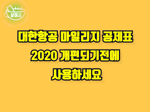 대한항공 마일리지 공제표 2020 개편되기전에 사용하세요