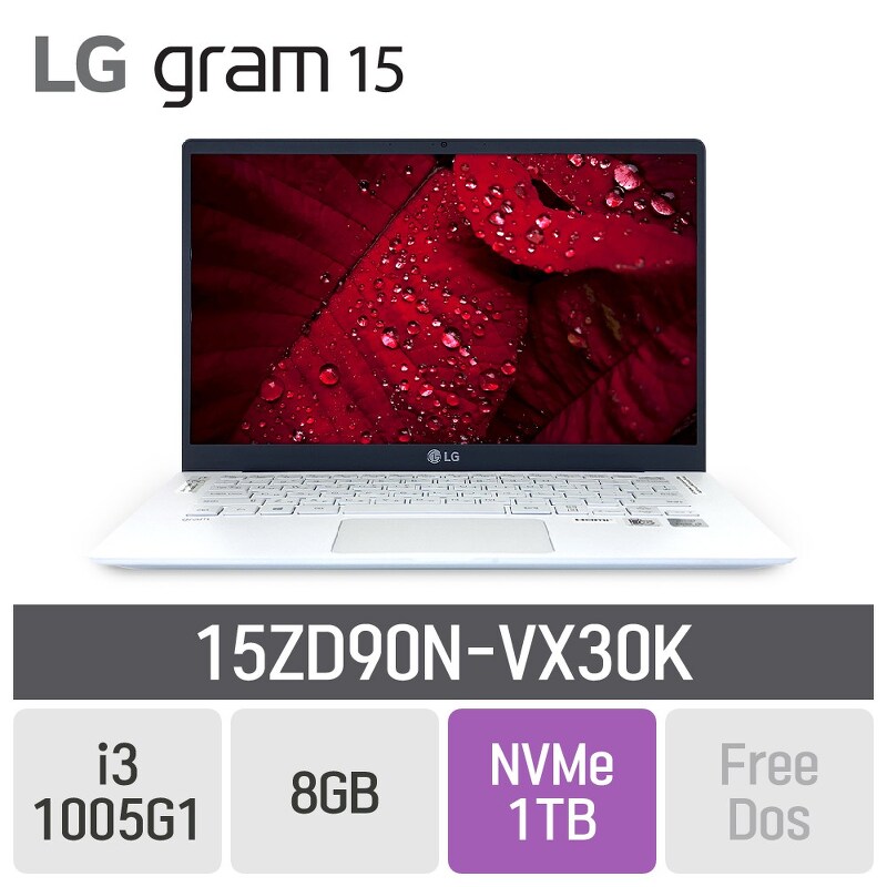 LG 그램15 2020 15ZD90N-VX30K, 8GB, SSD 1TB, 미포함