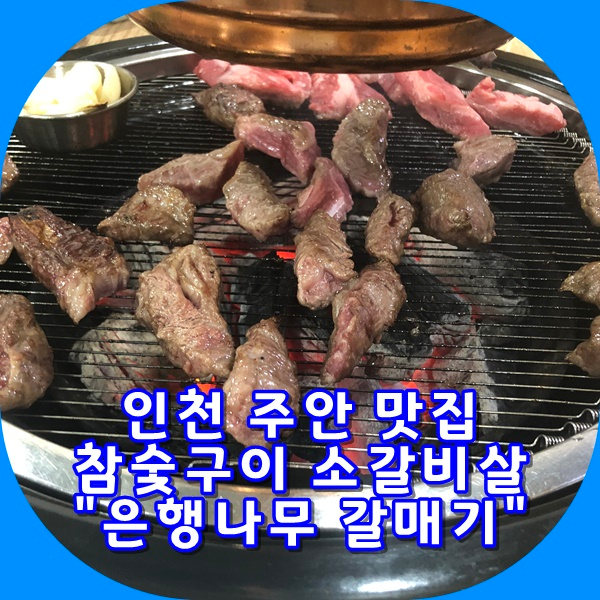 [맛집여행]은행나무 갈매기 feat.인천 주안 참숯구이 소갈비살 전문점 왕냉면 추천