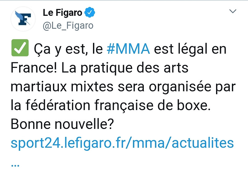 마침내 프랑스 MMA 합법화 등 MMA 뉴스