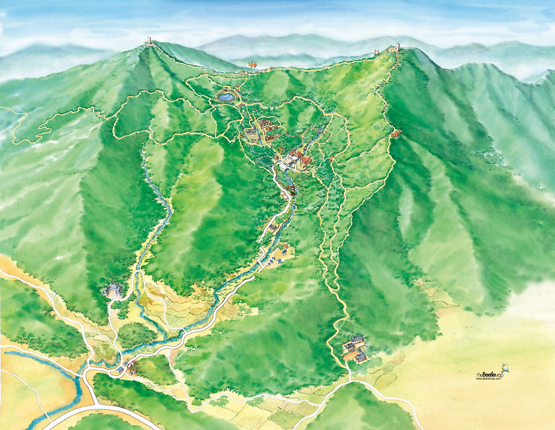 잣향기 푸른숲 (수채화지도·그림지도) - 더그린맵