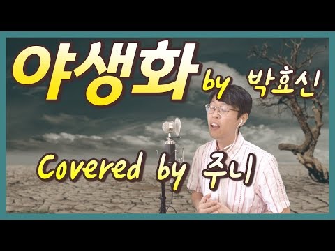 박효신[HyoShin Park] - 야생화(Wild Flower) [주니 Cover] - 가사포함