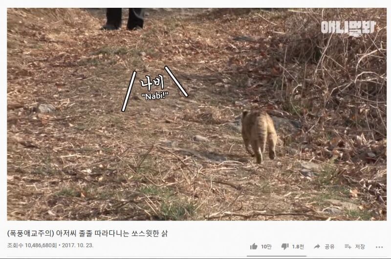 TV 동물농장 유투브 논란 해명