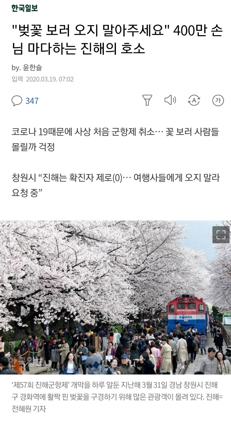 진해벚꽃축제 보러 가지마세요! 벚꽃축제 취소!