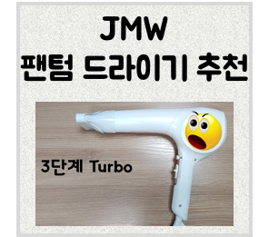 JMW 팬텀 드라이기 MS6001A 후기