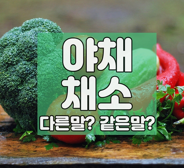 야채, 채소의 차이 ? 무엇이 다르나?