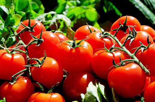 [정보]저칼로리 다이어트 식품 토마토의 효능과 영양성분 등 모든것을 알아보자!