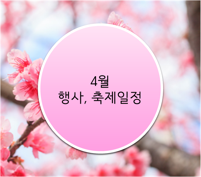 4월!! 인생샷 찍기 좋은 봄 축제, 행사 4곳!!!
