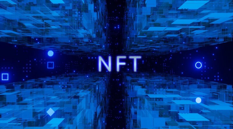 [NFT 팁] NFT의 홀더 수와 NFT 고래가 있는지 확인하는 방법