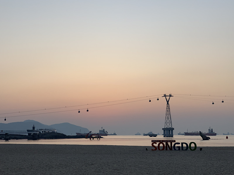 [국내여행/부산] 2020새해맞이 2박3일 여행_셋째날_동백섬/꽃분이네