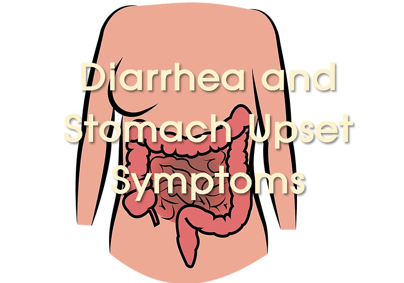 Good food for stomach upsets when you have diarrhea and upset stomach