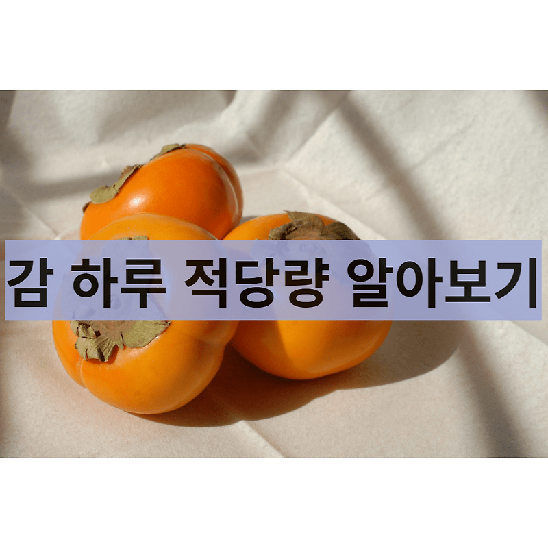 맛있는 감, 하루에 몇개가 적당할까?