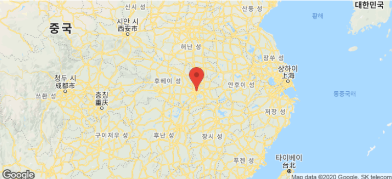 우한 폐렴, 변종 코로나 바이러스