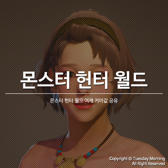 몬스터 헌터 월드 여캐 커마(커스터마이즈) 공유