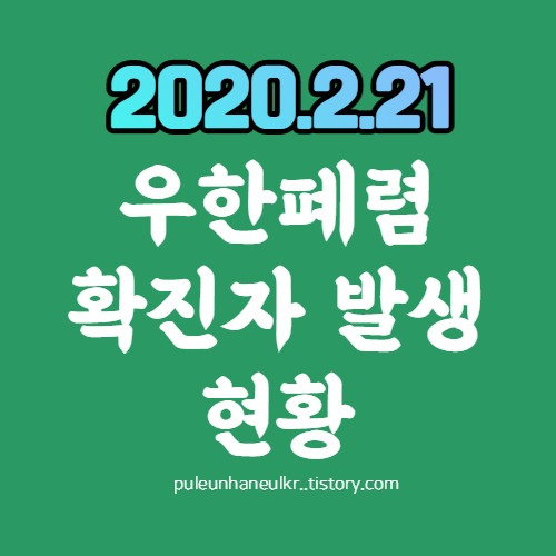 2020년 2월 21일 13:00  우한폐렴(코로나19) 확진자 발생 현황