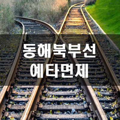 동해북부선(강릉~제진) 예비타당성조사 면제