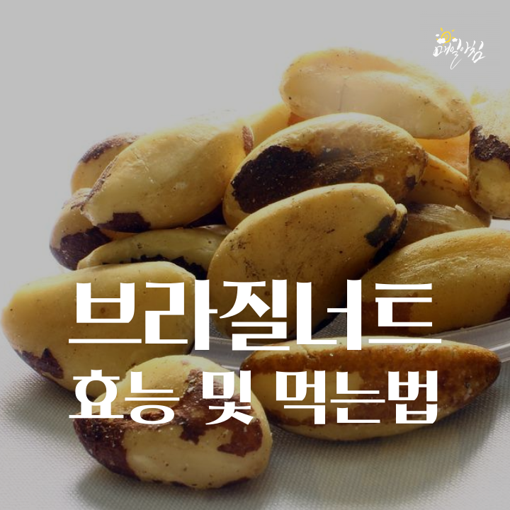 [매일아침좋은글] 브라질너트 효능 및 먹는법 완벽소개 반드시 부작용 알고 드세요!