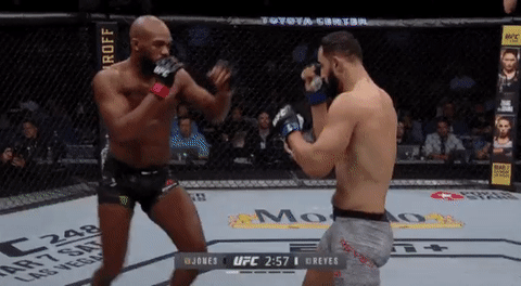 UFC 247 존스 vs 레예스 피니시 영상(GIF) 및 뒷얘기