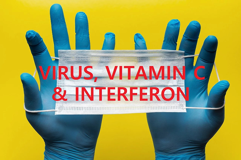 생활건강 : 바이러스와 비타민C & 인터페론 / VIRUS, VITAMIN C, INTERFERON / 면역력