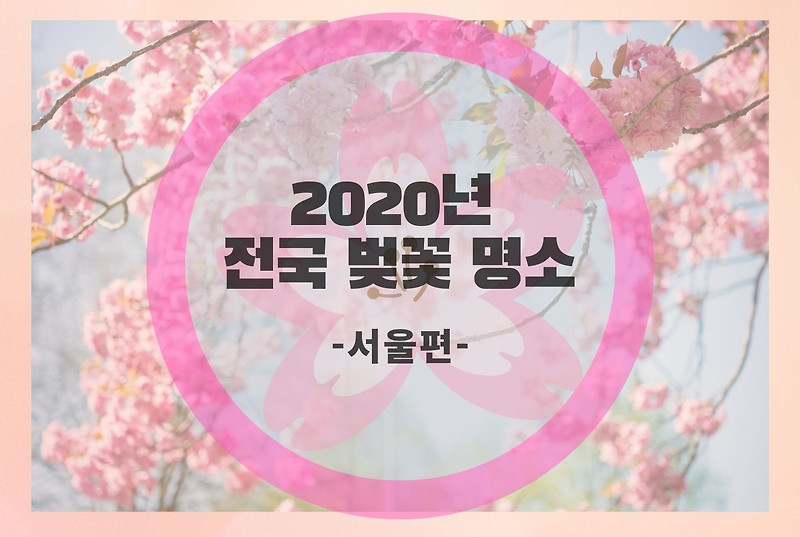 2020년 전국벚꽃놀이명소 -서울편-