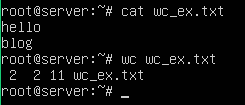 [리눅스/유닉스/셸 프로그래밍] 파일 행 단어 등 총 개수를 출력해주는 wc 명령어
