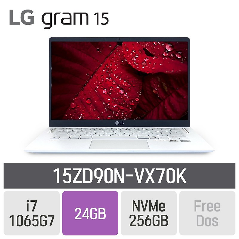 LG 그램15 2020 15ZD90N-VX70K, 24GB, SSD 256GB, 미포함