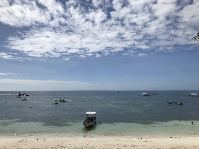 [필리핀/세부 여행] Bohol Island 보홀 2일차 : 아로나 비치(버즈카페 The Buzz cafe)/발리카삭(스노쿨링,스쿠버다이빙)