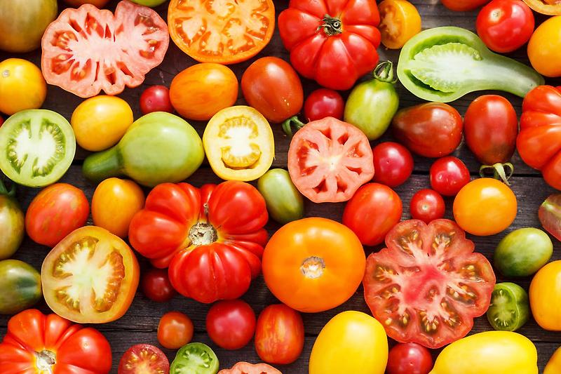 토마토의 영양과 효능 및 효과적인 섭취 방법과 저장 방법은?