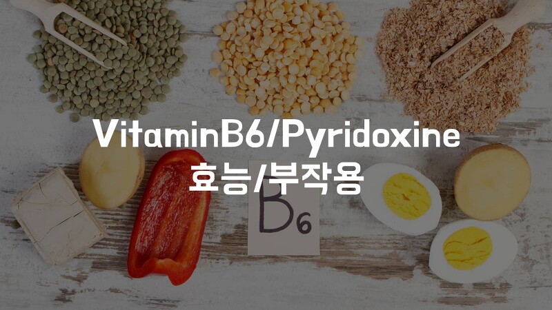 피리독신(비타민 B6)에 대해서 알아보자!!!